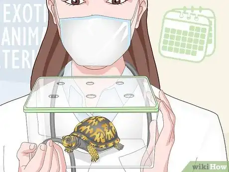 Image titled Care for an Eastern Box Turtle Step 18