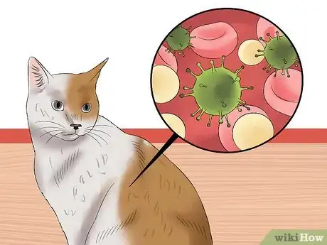 Image titled Care for an FIV Infected Cat Step 20