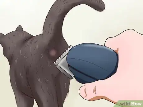 Image titled Clean Your Cat When He Can't Do It Himself Step 20