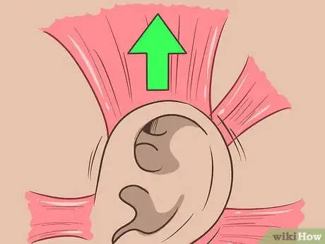 Image titled Wiggle Your Ears Step 9