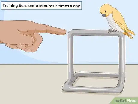 Image titled Train Your Bird Step 22