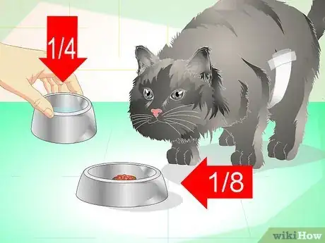 Image titled Get Your Cat Spayed Step 10