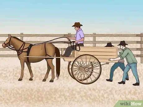 Image titled Train a Horse to Drive Step 15