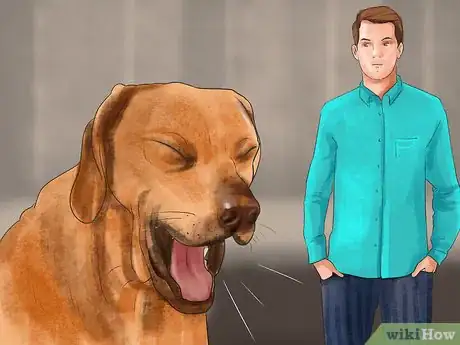 Image titled Know if Your Senior Dog Is in Pain Step 8