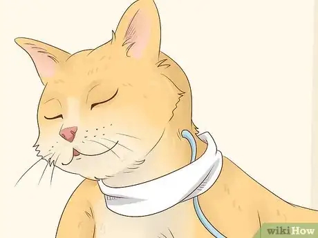 Image titled Feed a Feline Cancer Patient Step 15