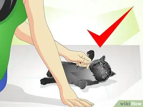 Image titled Help a New Kitten Become Familiar with Your Home Step 8