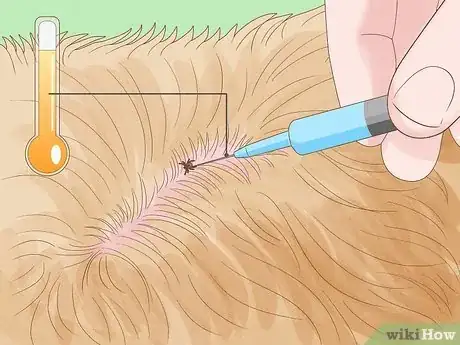 Image titled Remove a Tick from a Dog Without Tweezers Step 4