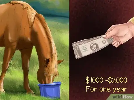 Image titled Know if You Have What It Takes to Own a Horse Step 3