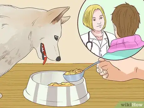 Image titled Make Homemade Dog Food Step 16