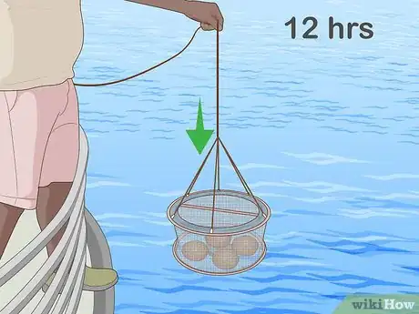 Image titled Catch Shrimp Step 19