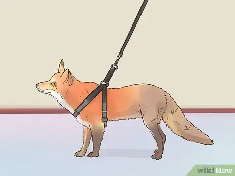 Image titled Care for a Pet Fox Step 19