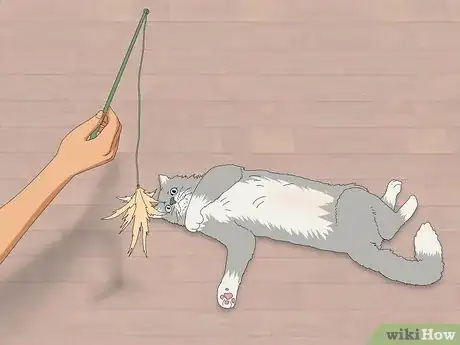 Image titled Get Your Cat to Know and Love You Step 12