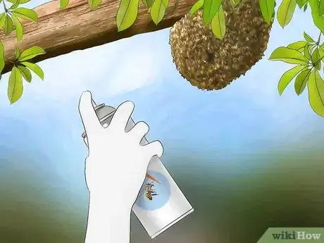 Image titled Get Rid of Killer Bees Step 12