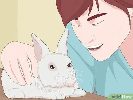 Image titled Care for Dwarf Rabbits Step 10