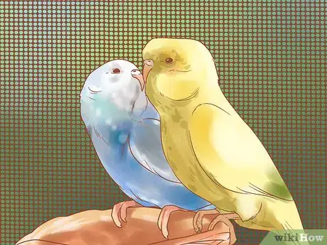 Image titled Breed Budgies Step 3