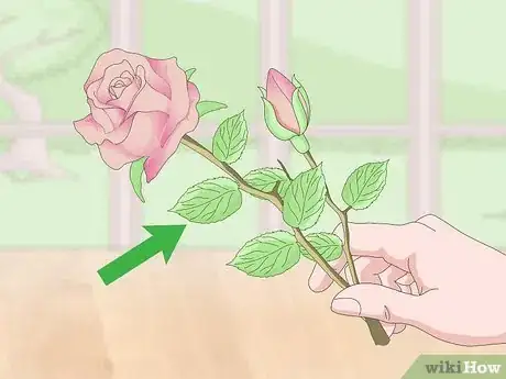 Image titled Make a Rose Bouquet Step 14