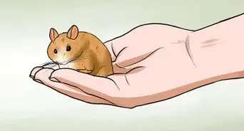 Handle a Hamster Without Being Bitten