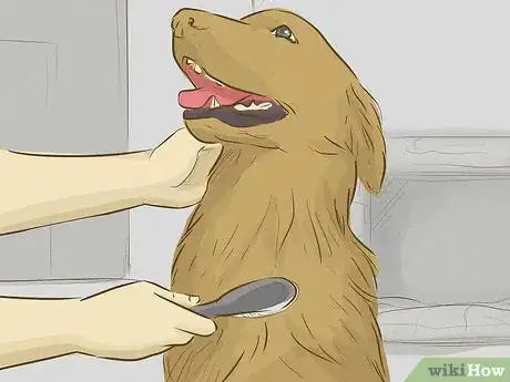 Image titled Keep Your Dog Happy Step 12