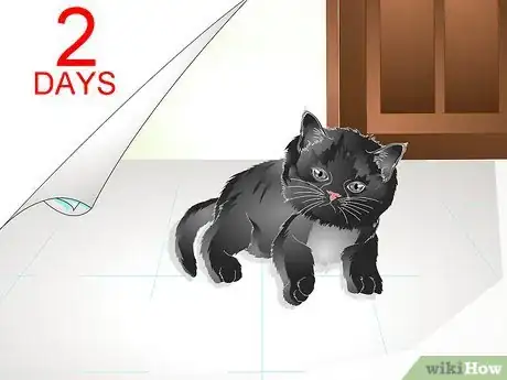 Image titled Help a New Kitten Become Familiar with Your Home Step 3