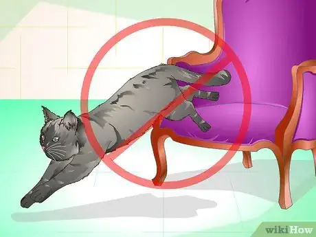 Image titled Get Your Cat Spayed Step 16