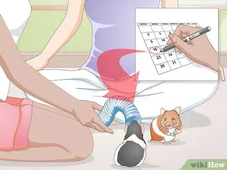 Image titled Make Your Hamster Happy Step 11
