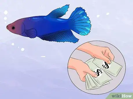Image titled Help a Betta Fish Live Longer Step 2