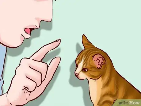 Image titled Speak Cat Step 14