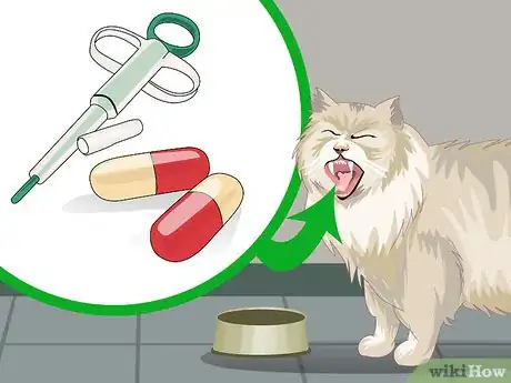 Image titled Treat Feline Upper Respiratory Illness Step 8