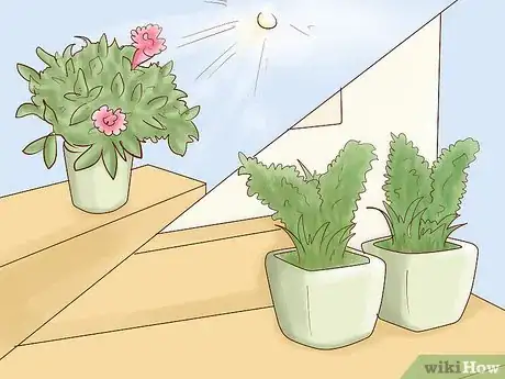 Image titled Arrange Flower Pots Step 4