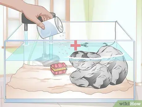 Image titled Clean a Turtle Tank Step 15