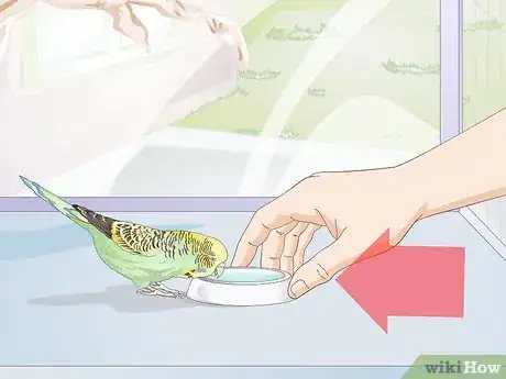 Image titled Feed Budgies Step 13