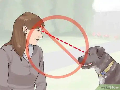 Image titled Gain Trust in an Aggressive Dog Step 3