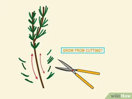 Image titled Grow Cuttings from Established Plants Step 03