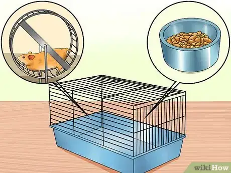 Image titled Learn When to Separate Hamsters Step 7