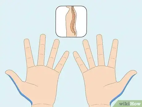 Image titled Read a Hand Reflexology Chart Step 6