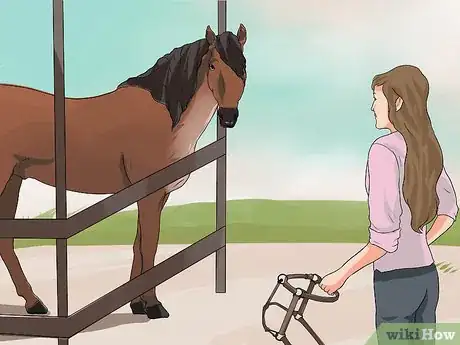 Image titled Put the Bit in a Horse's Mouth Step 1