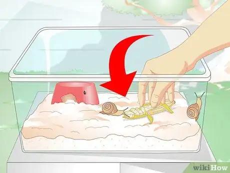 Image titled Build a Snail House Step 11