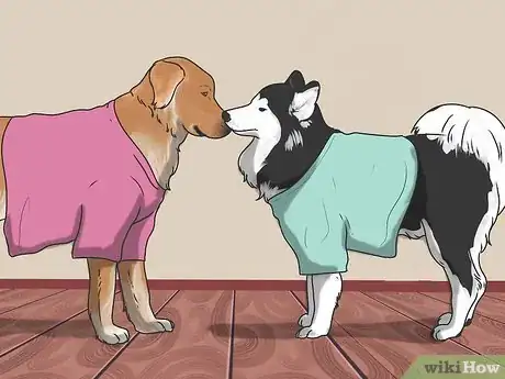 Image titled Introduce a New Dog to Your House and Other Dogs Step 7