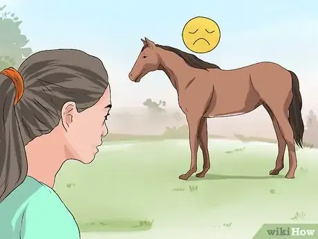Image titled Recognize and Treat Colic in Horses Step 1