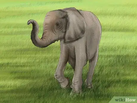 Image titled Ride an Elephant Step 2