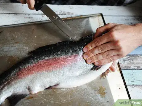 Image titled Prepare Salmon for Sushi Step 12