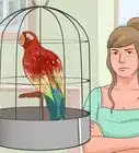 Teach Your Bird to Talk