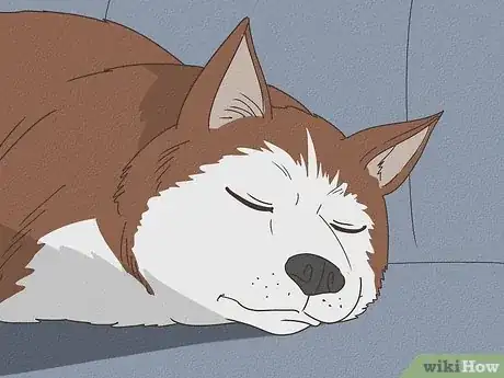 Image titled Why Do Dogs Sigh Step 6