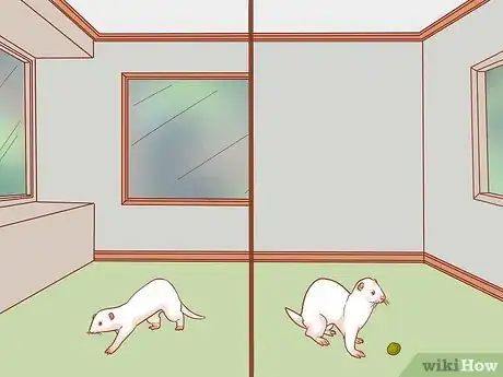 Image titled Train Your Ferrets to Do Tricks Step 1