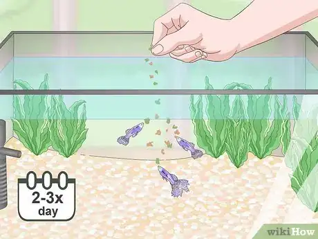 Image titled Lower Your Nitrate_Nitrite Levels in Your Fish Tank Step 8