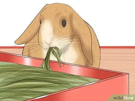 Image titled Tame Your Rabbit Step 18