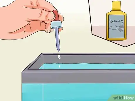 Image titled Tell if a Betta Fish Is Sick Step 18