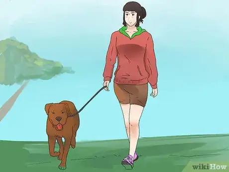 Image titled Teach Your Dog to Walk on a Leash Step 10