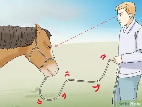 Image titled Teach Your Horse to Back up from the Ground Step 6