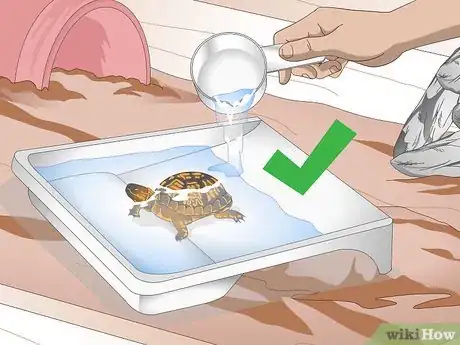 Image titled Create an Indoor Box Turtle Habitat Step 16
